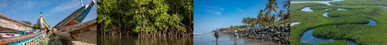 The Gambia landscapes